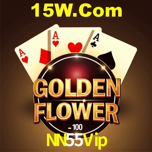 Design Responsivo NN55Vip